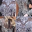 Luxe Noire Transparentes Robe De Soirée 2020 Gaine / Ajustement Col Haut Manches Longues Faux Diamant Perlage Longue Volants Robe De Ceremonie