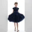 Vintage / Retro Navy Blue Lace Birthday Flower Girl Dresses 2020 Ball Gown High Neck Sleeveless Star Embroidered Short Cascading Ruffles