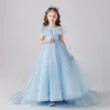 Vintage / Retro Sky Blue Birthday Flower Girl Dresses 2020 Princess See-through High Neck Long Sleeve Sequins Beading Sweep Train Ruffle