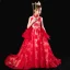 Chinese style Red Birthday Flower Girl Dresses 2020 Ball Gown High Neck Sleeveless Appliques Lace Beading Sequins Sweep Train Ruffle