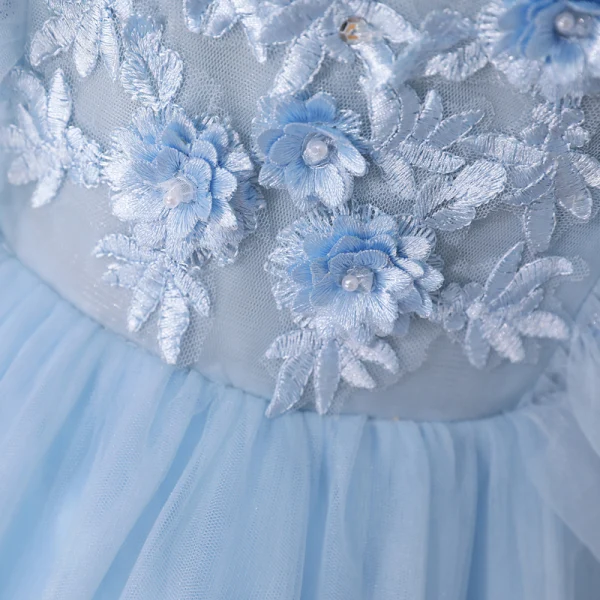 Vintage / Retro Sky Blue Dancing Prom Dresses 2020 A-Line / Princess Scoop Neck Sleeveless Appliques Flower Pearl Floor-Length / Long Ruffle Formal Dresses