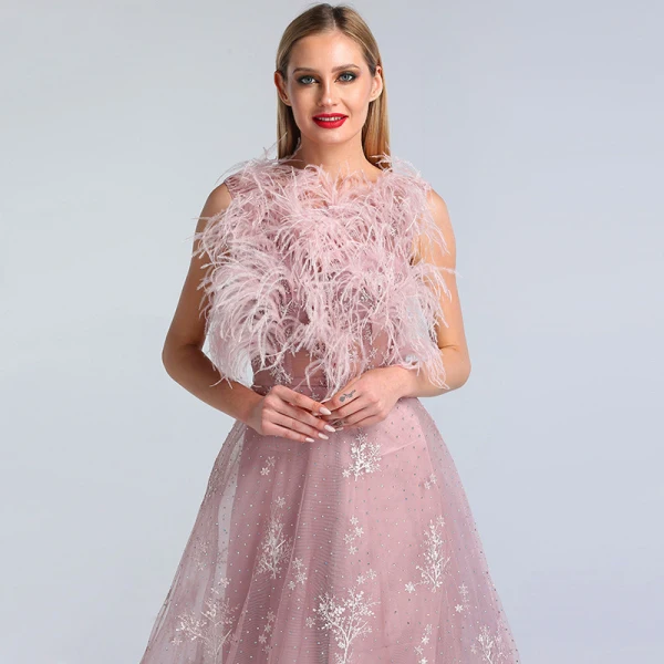 High-end Blushing Pink See-through Evening Dresses 2020 A-Line / Princess Scoop Neck Sleeveless Feather Appliques Lace Rhinestone Floor-Length / Long Ruffle Formal Dresses