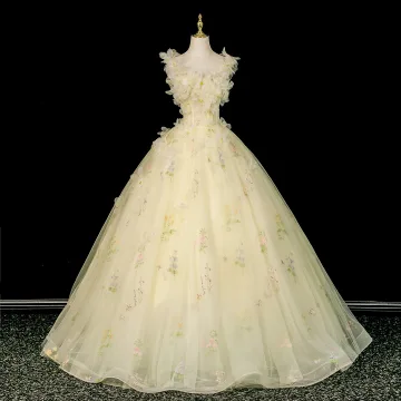 Élégant Vert Cendré Brodé Appliques Robe De Bal 2026 Robe Boule Encolure Dégagée Sans Manches Dos Nu Longue Robe De Ceremonie