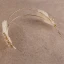 Modern / Fashion Gold Bridal Jewelry 2017 Metal Beading Feather Pierced Headpieces Wedding Prom Accessories
