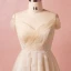 Classique Élégant Champagne Grande Taille Robe De Soirée 2018 Tulle Lacer V-Cou Princesse Appliques Dos Nu Printemps Soirée Robe De Ceremonie