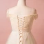 Classique Élégant Champagne Grande Taille Robe De Soirée 2018 Tulle Lacer V-Cou Princesse Appliques Dos Nu Printemps Soirée Robe De Ceremonie