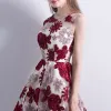Chic / Beautiful Red Graduation Dresses 2017 A-Line / Princess U-Neck Lace Appliques Embroidered Homecoming Party Dresses