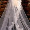 Wedding Veils Chic / Beautiful White Lace Appliques 2017 Tulle Tiara
