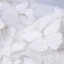 Chic / Beautiful White Evening Dresses  2018 U-Neck Tulle Butterfly Appliques Backless Evening Party Formal Dresses