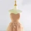 Elegant Champagne Ballkjoler 2017 Prinsesse Kjæreste Uten Ermer Ryggløse Appliques Blonder Plissert Tyll Formelle Kjoler Chapel Train