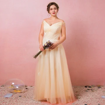 Classic Elegant Champagne Plus Size Evening Dresses 2018 Tulle Lace Up V Neck A Line Princess Appliques Backless Spring Evening Party Formal Dresses