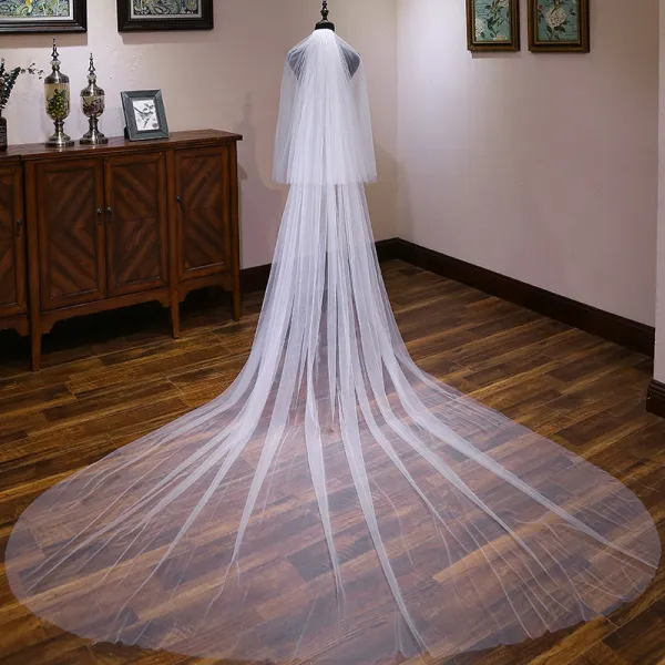 Modest / Simple White 3 m Tulle Church Chapel Train Wedding Veils 2019