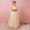Classic Elegant Champagne Plus Size Evening Dresses  2018 Tulle Lace-up V-Neck A-Line / Princess Appliques Backless Spring Evening Party Formal Dresses