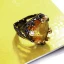 Amazing / Unique Yellow Crystal Silver Plated Rhinestone Alloy Cubic Zirconia Dancing Red Carpet Accessories 2019
