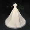 Sexy Stunning Champagne Plus Size Ball Gown Wedding Dresses 2020 Lace Tulle Crossed Straps Handmade  Beading Sequins Appliques Backless Chapel Train Wedding