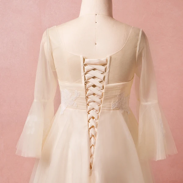 Modern / Fashion Champagne Plus Size Evening Dresses 2018 A-Line / Princess V-Neck Lace-up Tulle Appliques Backless Summer Long Sleeve Prom Evening Party Formal Dresses