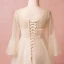 Modern / Fashion Champagne Plus Size Evening Dresses  2018 A-Line / Princess V-Neck Lace-up Tulle Appliques Backless Summer Long Sleeve Prom Evening Party Formal Dresses