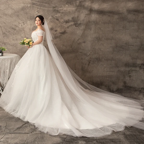 Moderne / Mode Blanche Grande Taille Robe De Mariée 2019 Dentelle Tulle Appliques Dos Nu Perlage Faux Diamant Chapel Train Mariage