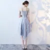 Elegant Sky Blue Graduation Dresses 2017 Strapless Lace Appliques Backless Printing Homecoming Party Dresses