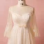 Modern / Fashion Champagne Plus Size Evening Dresses  2018 A-Line / Princess V-Neck Lace-up Tulle Appliques Backless Summer Long Sleeve Prom Evening Party Formal Dresses