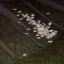 Lyx 2017 Vita Appliqués Tyll Spets Brudslöja