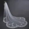 Chic / Beautiful White Wedding 2017 4 m Tulle Appliques Wedding Veils