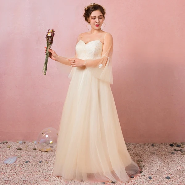 Modern / Fashion Champagne Plus Size Evening Dresses 2018 A-Line / Princess V-Neck Lace-up Tulle Appliques Backless Summer Long Sleeve Prom Evening Party Formal Dresses