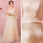 Modern / Fashion Champagne Plus Size Evening Dresses  2018 A-Line / Princess V-Neck Lace-up Tulle Appliques Backless Summer Long Sleeve Prom Evening Party Formal Dresses