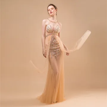 Sexy Champagne See Through Evening Dresses 2018 Trumpet Mermaid Scoop Neck Sleeveless Beading Tassel Sweep Train Ruffle Backless Formal Dresses