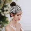 Elegante Silber Legierung Brautschmuck 2021 Kopfschmuck Quaste Ohrringe Strass Blumen Hochzeit Brautaccessoires