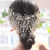 Elegante Zilveren Legering Bruidssieraden 2021 Haaraccessoires Kwast Oorbellen Rhinestone Bloem Huwelijk Accessoires