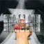 Transparent Check Acrylic Square Clutch Bags 2021
