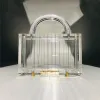 Transparent Stripe Acrylic Square Clutch Bags 2021