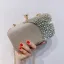 Fashion Champagne Glitter Square Clutch Bags 2021 Metal Rhinestone