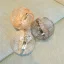 Fashion Metal Round Clutch Bags 2021