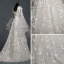 Modern / Fashion Champagne Wedding Dresses 2018 A-Line / Princess V-Neck Bell sleeves Backless Appliques Lace Glitter Tulle Court Train Ruffle