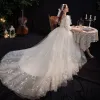 Victorian Style Champagne Outdoor / Garden Wedding Dresses 2021 A-Line / Princess See-through High Neck Puffy 3/4 Sleeve Backless Appliques Lace Sequins Sweep Train Ruffle