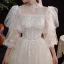 Viktorianischer Stil Champagner Garten / Im Freien Brautkleider / Hochzeitskleider 2021 A Linie Durchsichtige Stehkragen Geschwollenes 3/4 Ärmel Rückenfreies Applikationen Spitze Pailletten Sweep / Pinsel Zug Rüschen