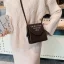 Modest / Simple Vintage / Retro Blushing Pink Suede Square Messenger Bag 2021 Casual Women's Bags