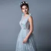 Sexy Grey Evening Dresses  2019 A-Line / Princess See-through Scoop Neck Sleeveless Butterfly Appliques Lace Court Train Ruffle Backless Formal Dresses