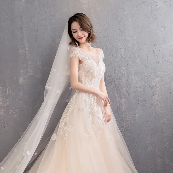 Élégant Champagne Transparentes Robe De Mariée 2019 Princesse Encolure Dégagée Mancherons Dos Nu Appliques En Dentelle Perlage Perle Chapel Train Volants