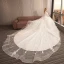 Charmant Ivoire Transparentes Robe De Mariée 2019 Robe Boule V-Cou Sans Manches Dos Nu Appliques En Dentelle Fleur Perle Perlage Watteau Train Volants
