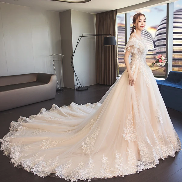 Edles Champagner Durchsichtige Brautkleider / Hochzeitskleider 2019 A Linie Rundhalsausschnitt Geschwollenes Kurze Ärmel Rückenfreies Applikationen Spitze Kathedrale Schleppe Rüschen