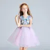 Chic / Beautiful Candy Pink Sky Blue Flower Girl Dresses 2017 Ball Gown V-Neck Sleeveless Appliques Flower Pearl Embroidered Short Ruffle Wedding Party Dresses