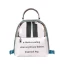 Transparent Sage Green Backpacks 2021 PVC Casual Women's Bags
