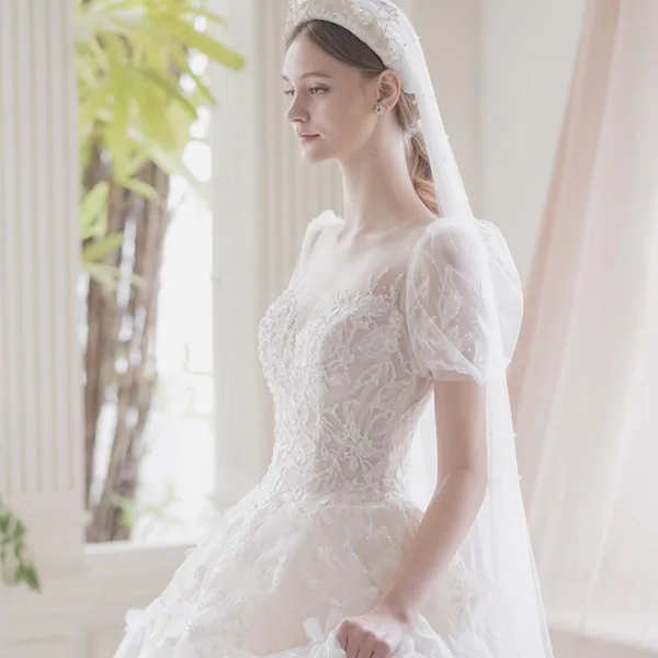 Illusion Champagne La Mariée Robe De Mariée 2021 Princesse Transparentes Encolure Dégagée Gonflée Manches Courtes Dos Nu Appliques En Dentelle Perlage Tribunal Train Volants