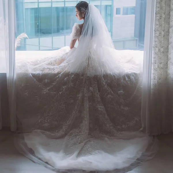 Illusion Champagne La Mariée Robe De Mariée 2021 Princesse Transparentes Encolure Dégagée Gonflée Manches Courtes Dos Nu Appliques En Dentelle Perlage Tribunal Train Volants