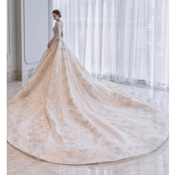 Charmant Champagner Durchsichtige Hochzeits Brautkleider / Hochzeitskleider 2021 Ballkleid Stehkragen Lange Ärmel Rückenfreies Applikationen Spitze Perlenstickerei Pailletten Glanz Tülle Kathedrale Schleppe Rüschen