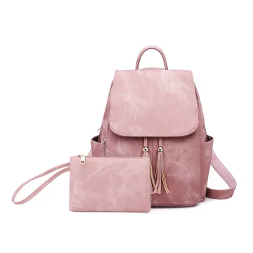 2 Pièces Mode Rougissant Rose Sacs À Dos Bourse 2021 Toile Gland Sacs Pour Femmes