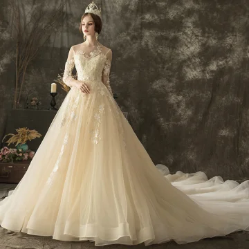 Illusion Champagne See Through Wedding Dresses 2019 A Line Princess Scoop Neck 3 4 Sleeve Backless Appliques Lace Beading Chapel Train Ruffle